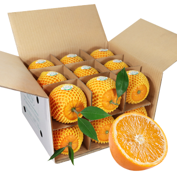 正宗秭归伦晚甜橙子 现摘当季新鲜水果 精品大果15-18颗礼盒装带箱10斤净8.